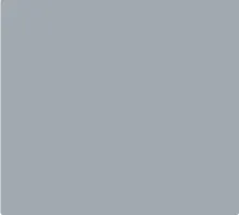 Carib Rehab Services